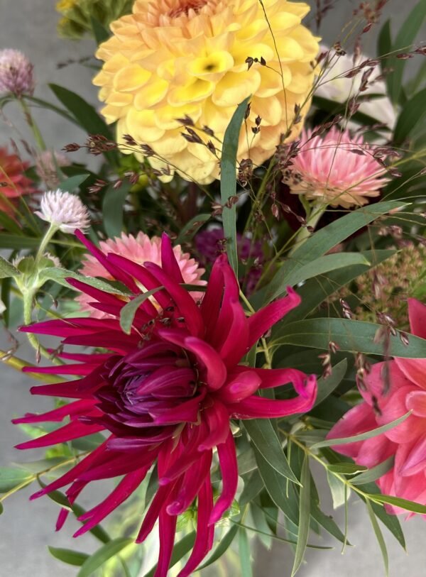 NEW - Sunday Brunch and Blooms, Cantina, Goodrington - Image 4